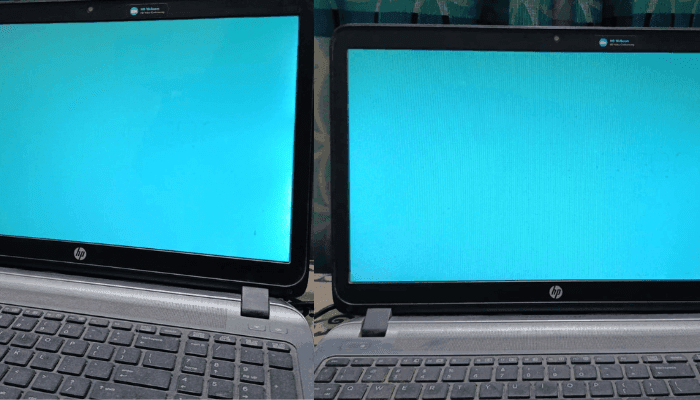 Preview Your Designs on a Bright Cyan Background