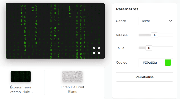 Panneau de configuration de l'économiseur d'écran Matrix Rain