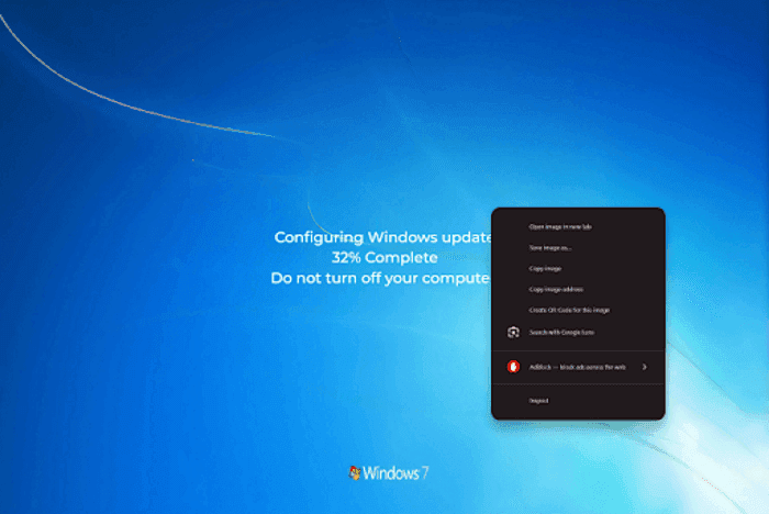 Checking Browser Menu to Detect Windows 7 Fake Update