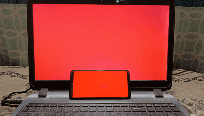 Create Dramatic Visuals with the Red Screen Background