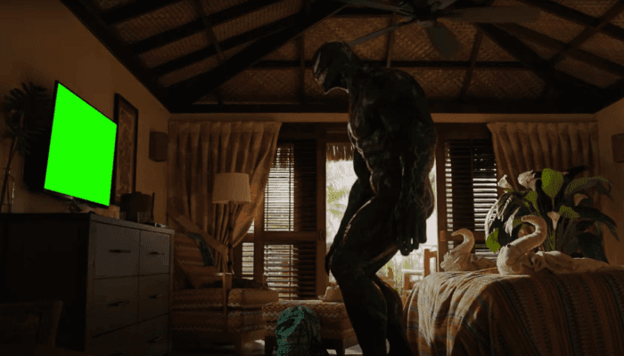 Shoot Videos with Green Screen for Chroma Key Editing